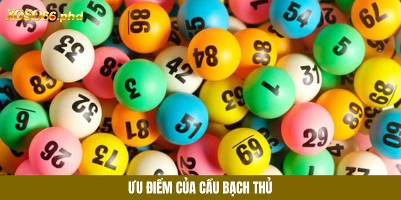 Cầu bạch thủ là loại được ưa chuộng nhiều